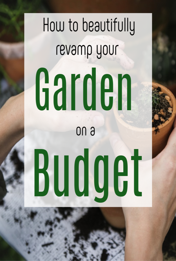 Revamp Your Garden on a Budget, top tips to give your garden makeover a low cost but fabulous revamp #gardenmakeover #budgetgarden #thriftygarden #gardenrevamp