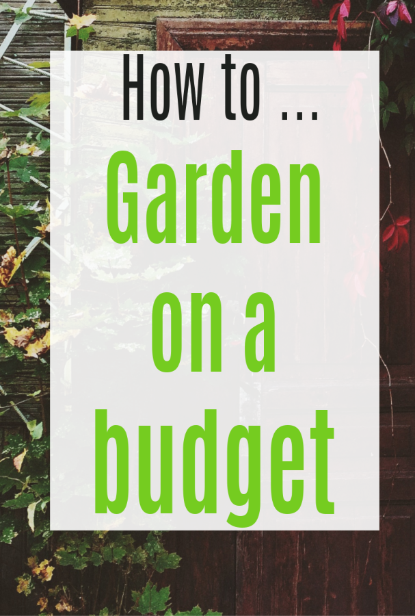 Garden on a Budget